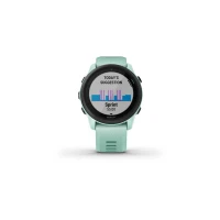 745 Turquoise
